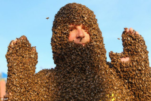 除了眼睛、鼻子和嘴巴，其他部位全被蜜蜂覆盖了。没有过人的胆量还是不要参加的好