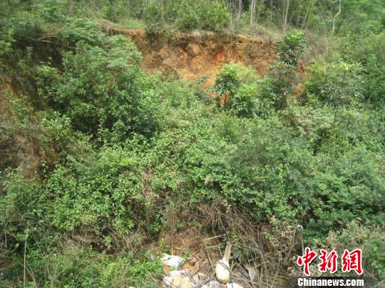 广东湛江&ldquo;杀人沟&rdquo;：82无辜亡灵泣诉日军暴行