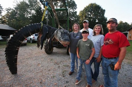 美国狩猎家族猎杀长4.6米巨型鳄鱼破该州记录