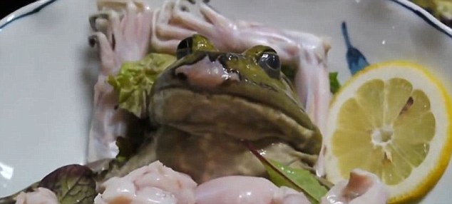 日本餐厅生吃活剥牛蛙 被批太残忍(组图)