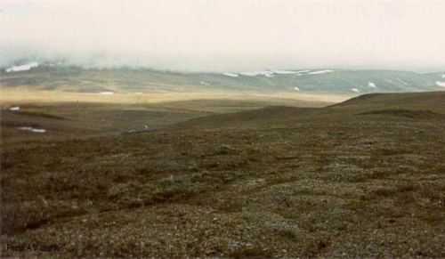 俄太平洋舰队在北极设首个驻扎点升起海军旗帜