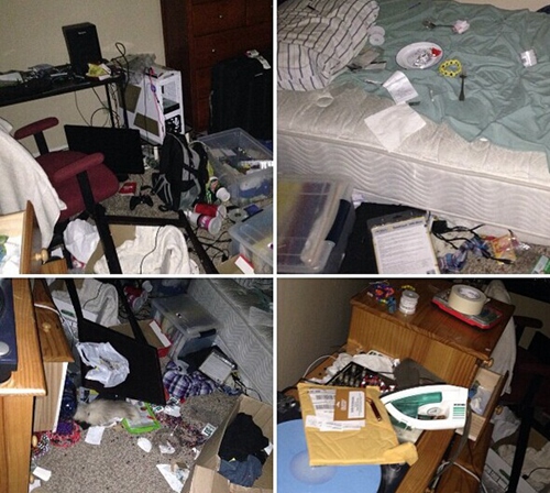 美国加州旧金山北部发生6.0级地震【13】