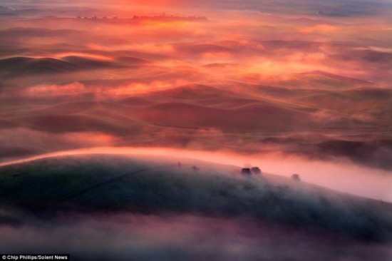 尊龙人生官网摄影师捕捉美国草|国美在线优惠券|原壮阔风光 绝美色彩光影撼人心魄