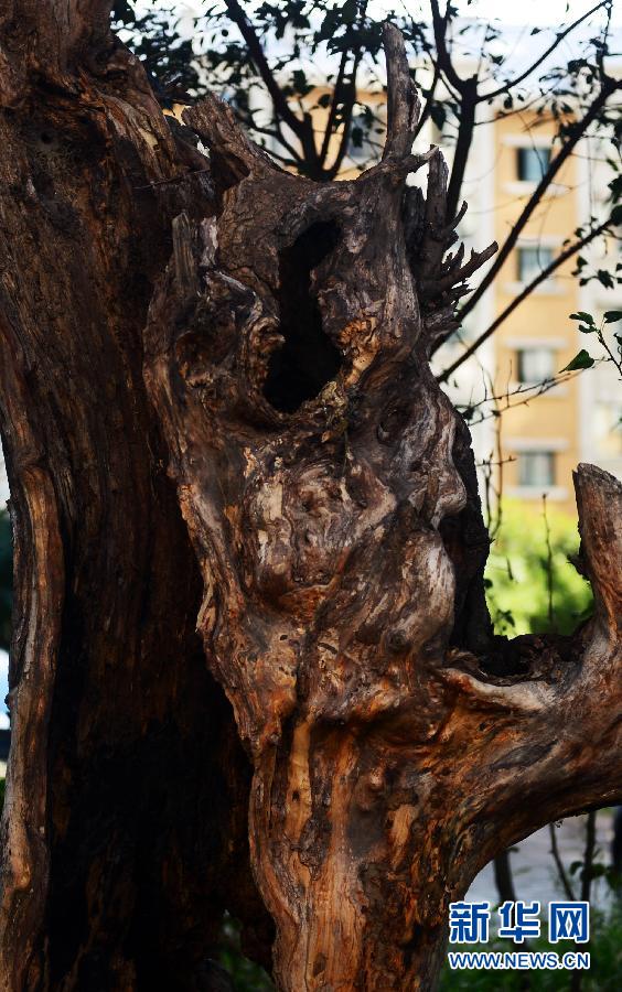 （勿忘&ldquo;九一八&rdquo;&middot;图文互动）（5）战地重访：&ldquo;九一八事变&rdquo;三大遗迹今何在？