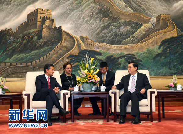 11月13日，全国人大常委会委员长张德江在北京人民大会堂会见墨西哥总统培尼亚。 新华社记者 刘卫兵 摄