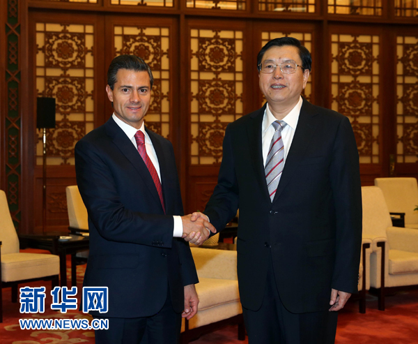11月13日，全国人大常委会委员长张德江在北京人民大会堂会见墨西哥总统培尼亚。 新华社记者 刘卫兵 摄