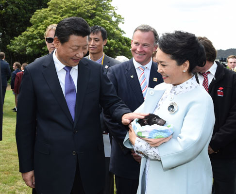 11月18日，国家主席习近平在澳大利亚塔斯马尼亚州与朗塞斯顿市斯科奇－欧克伯恩小学的小学生共同植树。这是习近平和夫人彭丽媛植树后抚摸袋獾。新华社记者 马占成 摄