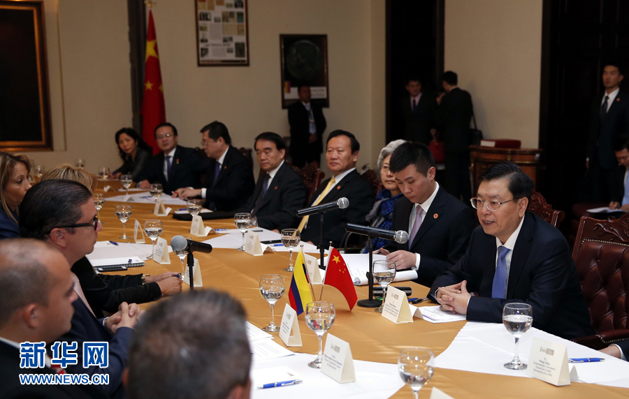 11月24日，正在哥伦比亚进行正式友好访问的全国人大常委会委员长张德江在波哥大与哥伦比亚众议长阿明举行会谈。 新华社记者 鞠鹏 摄 