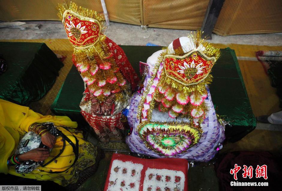 巴基斯坦50对新人集体婚礼 身着传统服饰齐遮面