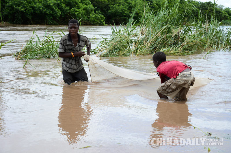 马拉维连续暴雨引发洪灾 造成至少176人死亡