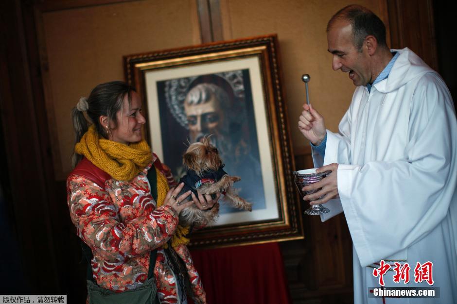 西班牙举行动物祈福仪式 萌宠逐个接受祝福