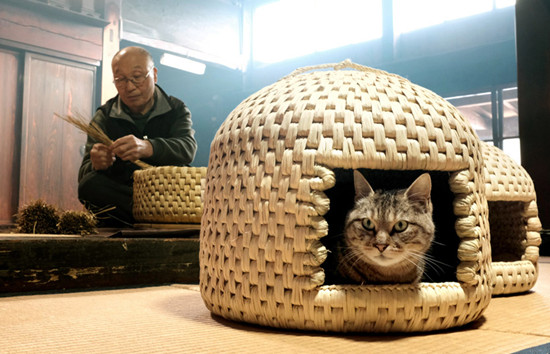 日本流行手工编织&ldquo;猫窝&rdquo;售价逾千元人民币（图）