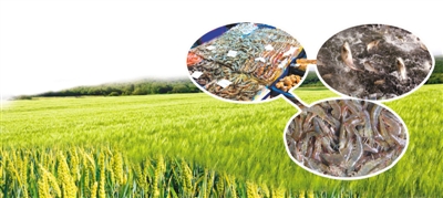 FTA,中韩农产品贸易的机遇与挑战