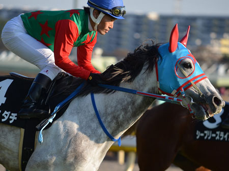 日本一著名赛马手上吊自杀事前并无异样（图）