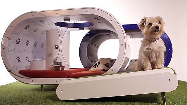 17万元天价狗窝问世 配备跑步机和半身浴池（图）