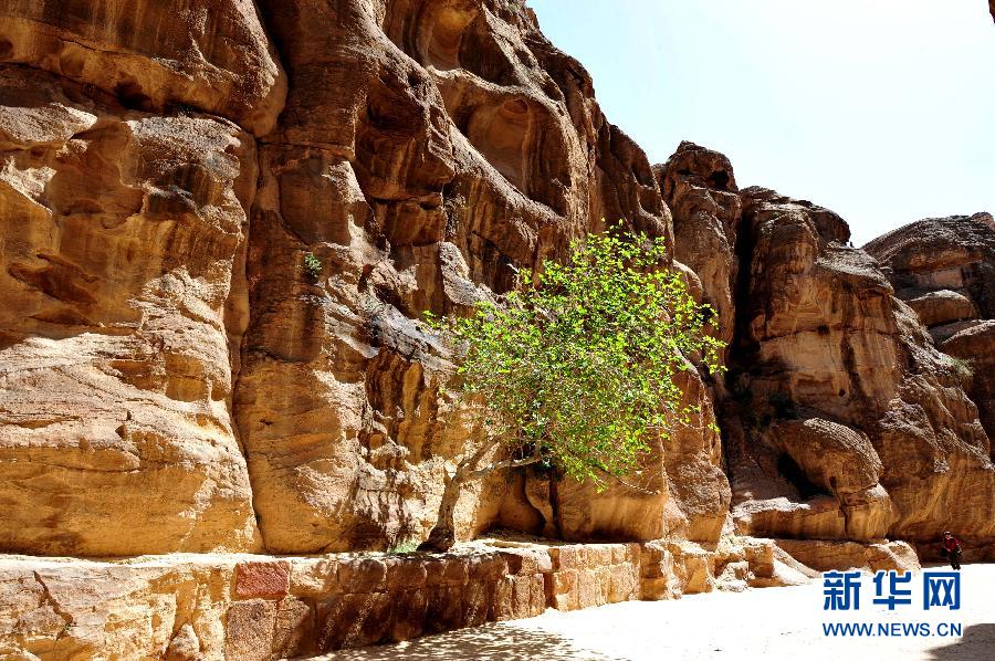 （新华网）（4）&ldquo;玫瑰之城&rdquo;&mdash;&mdash;约旦佩特拉古城