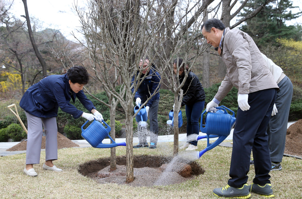 韩国总统朴槿惠植树节亲手种国花