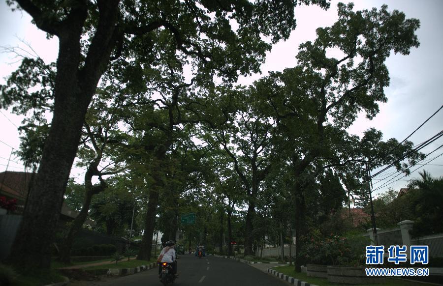 （XHDW）（4）万隆印象