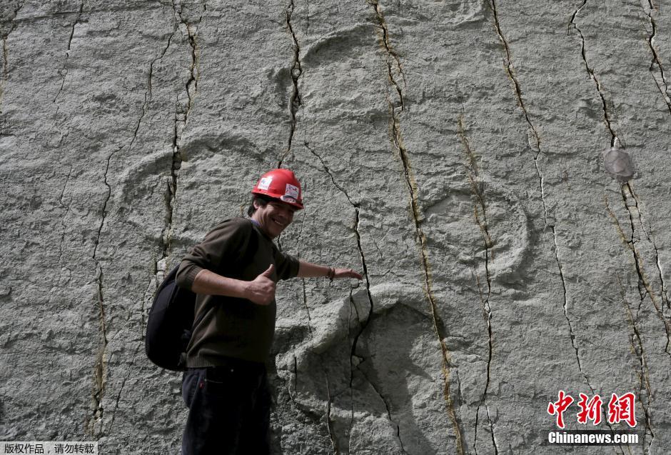 玻利维亚山体表面现大量恐龙脚印