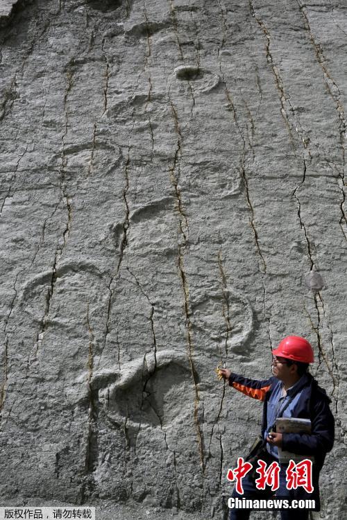 玻利维亚山体表面现大量恐龙脚印