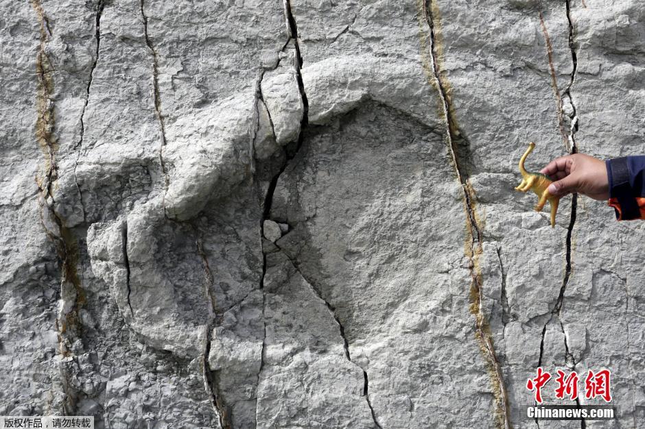 玻利维亚山体表面现大量恐龙脚印