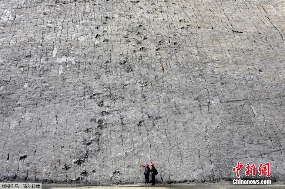 玻利维亚山体表面现大量恐龙脚印