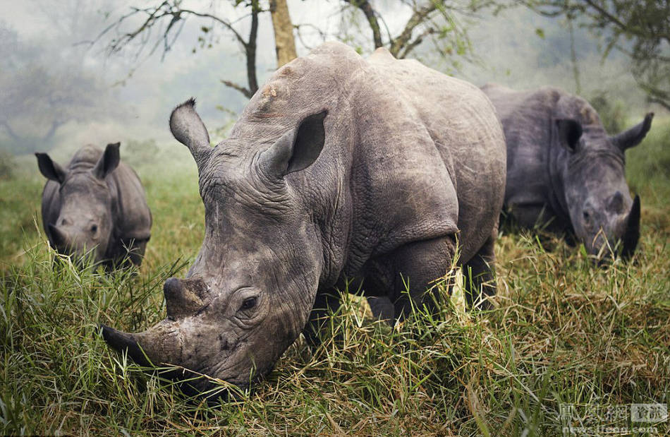 10张《美国国家地理》摄影一等奖的照片