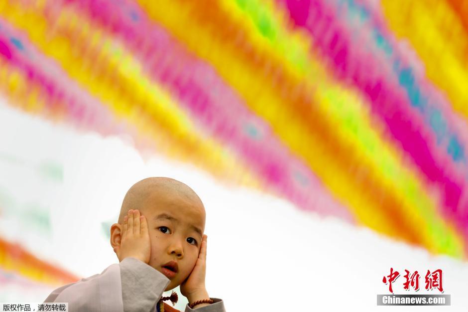 韩国迎接佛诞节 小和尚剃度萌态十足