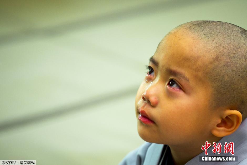 韩国迎接佛诞节 小和尚剃度萌态十足