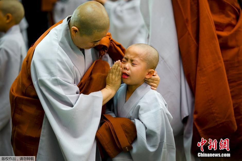 韩国迎接佛诞节 小和尚剃度萌态十足