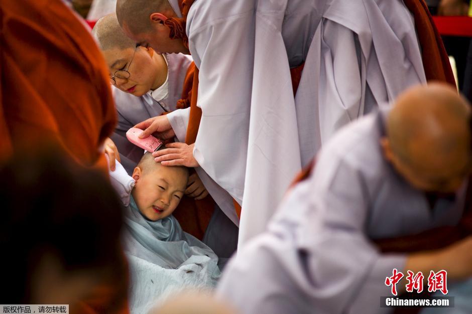 韩国迎接佛诞节 小和尚剃度萌态十足