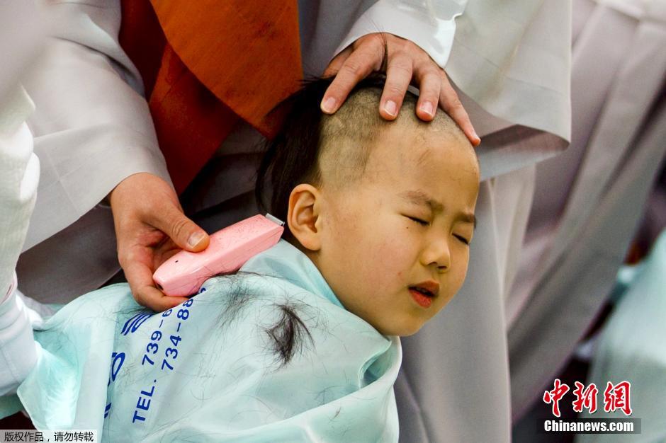 韩国迎接佛诞节 小和尚剃度萌态十足
