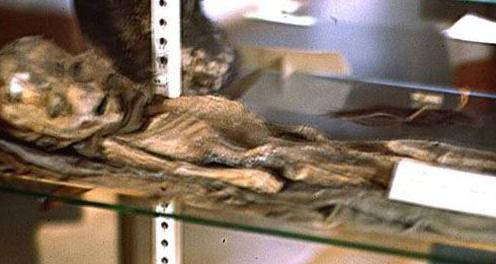 美国发现外星人尸体？专家：土著儿童干尸（图）