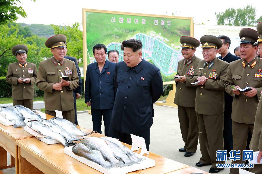 （XHDW）（4）金正恩视察新昌养鱼场