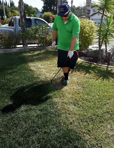 美国加州连续4年大旱市民将草坪漆成绿色（图）