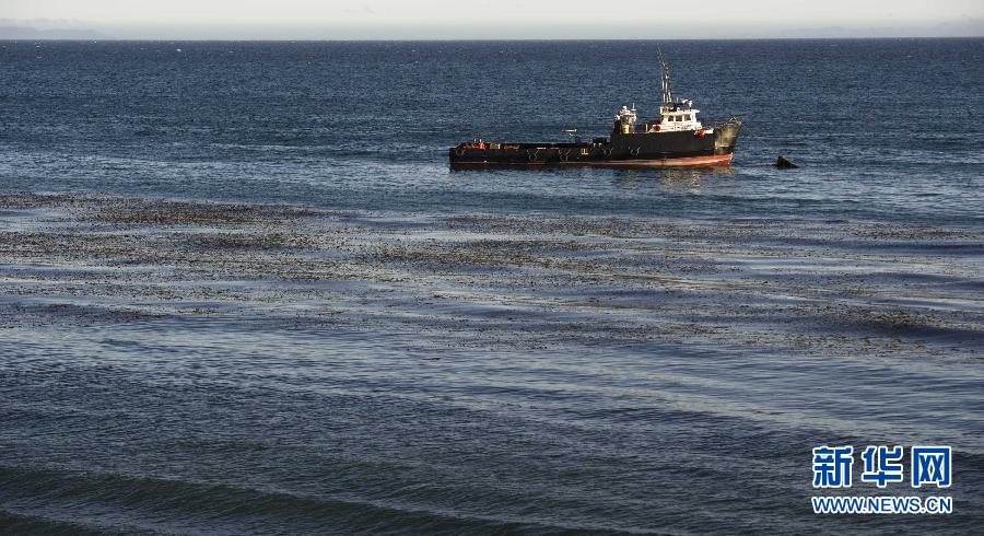（国际）（3）美国加州加紧清理漏油海岸
