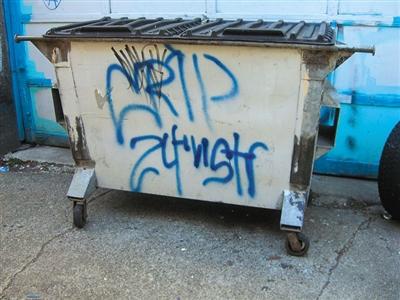 媒体揭秘美国黑帮：超50个帮派有退伍军人参与