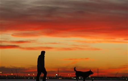 职业遛狗人:陪“狗客户”散步工作轻松多金