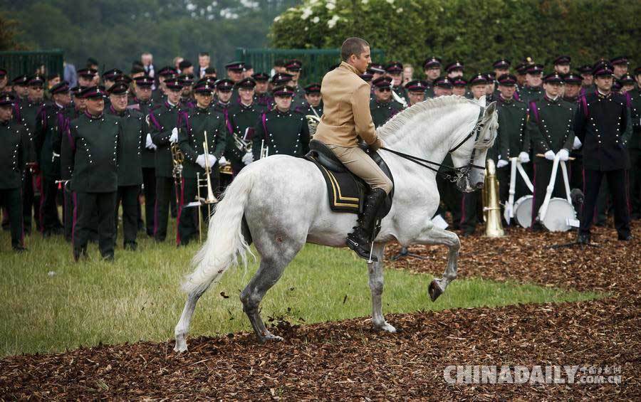 滑铁卢战役200周年纪念活动拉开帷幕