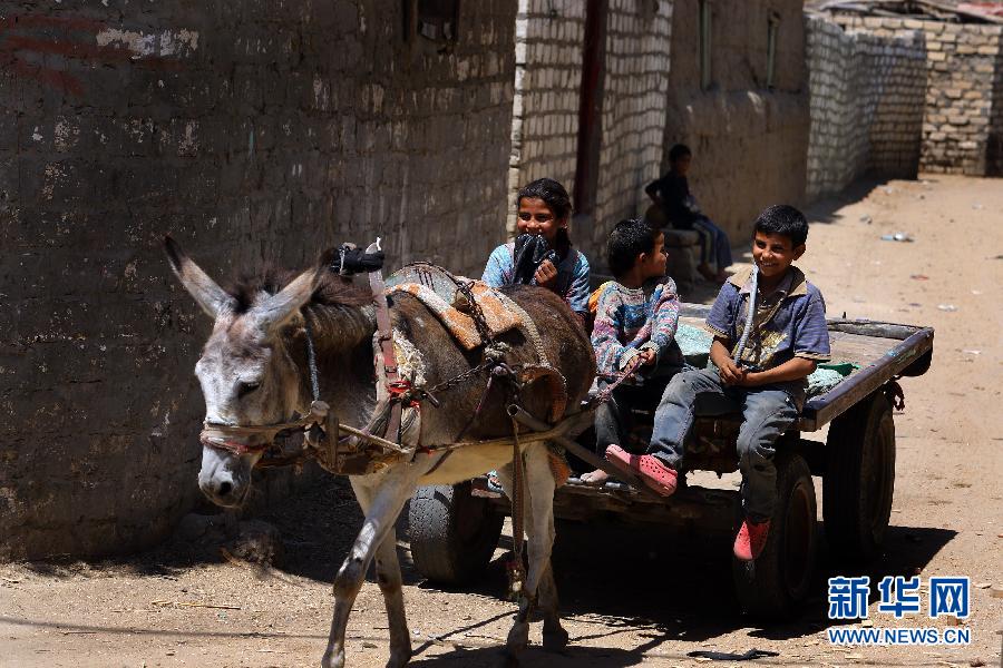 （国际）（6）被遗忘的土地&mdash;&mdash;探访埃及巴勒斯坦难民村