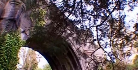 英国&ldquo;鬼桥&rdquo;600只狗跳桥自杀只因受过诅咒？