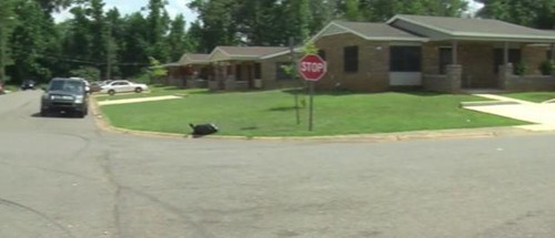 美国一男子遭警方喷辣椒水后死亡具体死因不明