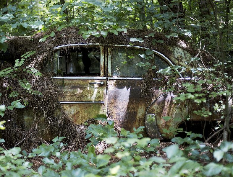 美国森林中&ldquo;潜藏&rdquo;世界最大废旧汽车博物馆