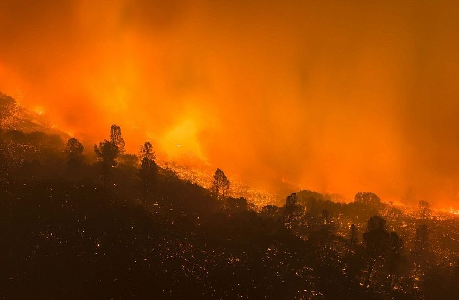 美国加州森林大火持续超一周 系男童玩火引发
