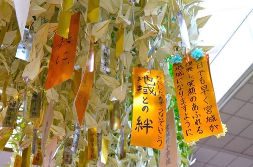 人们写下心愿。