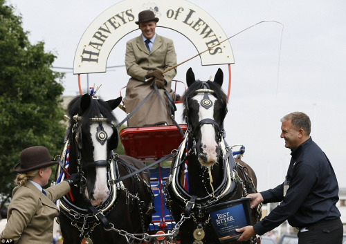 英啤酒节开幕900种风味啤酒吸引狗狗&ldquo;买醉&rdquo;（图）