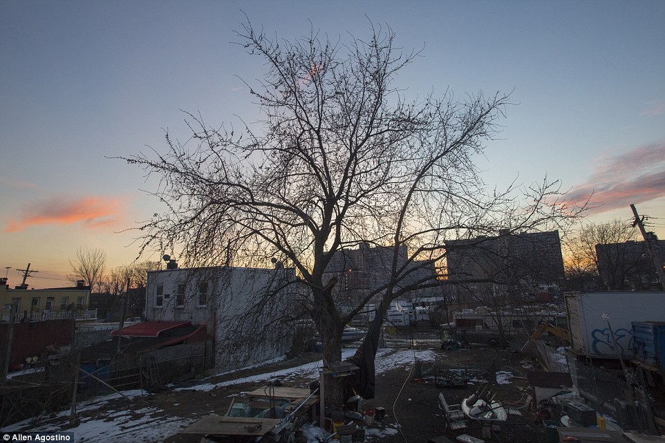 摄影师十四个月跟拍纽约贫民窟