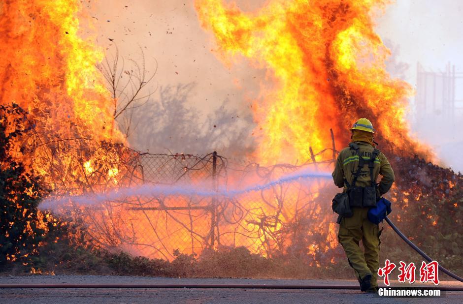 美国南加州高温酷热天气引发多处山林野火 