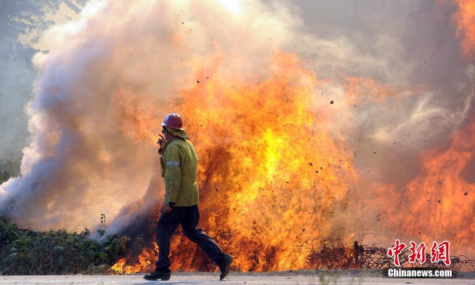 美国南加州高温酷热天气引发多处山林野火 