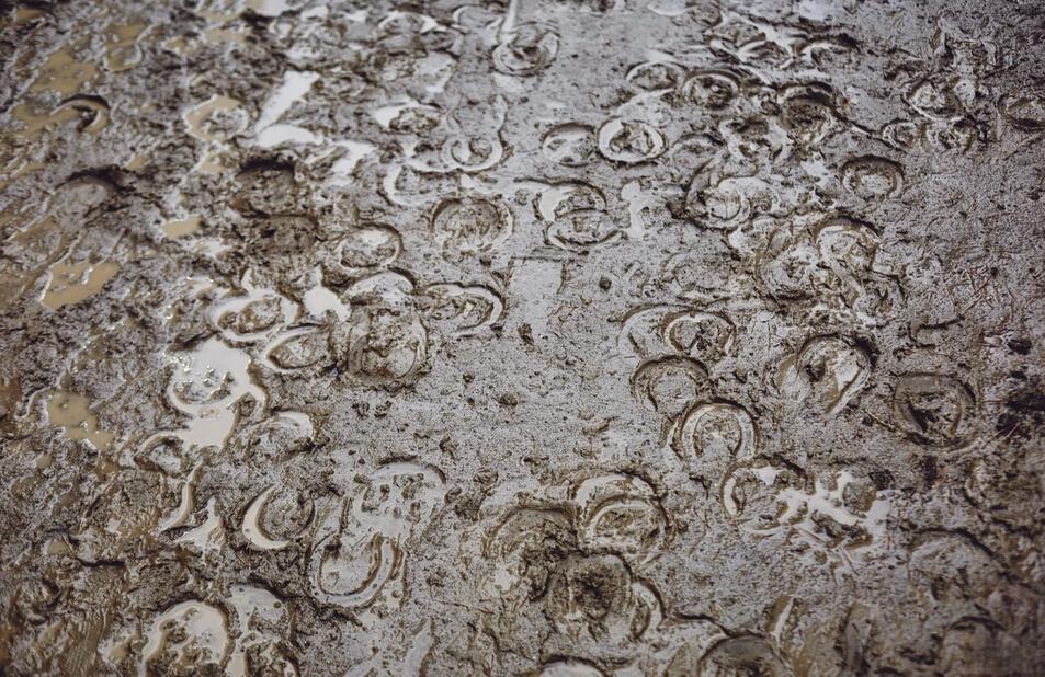 被遗忘的美国黑人牛仔:为保存遗产而战斗